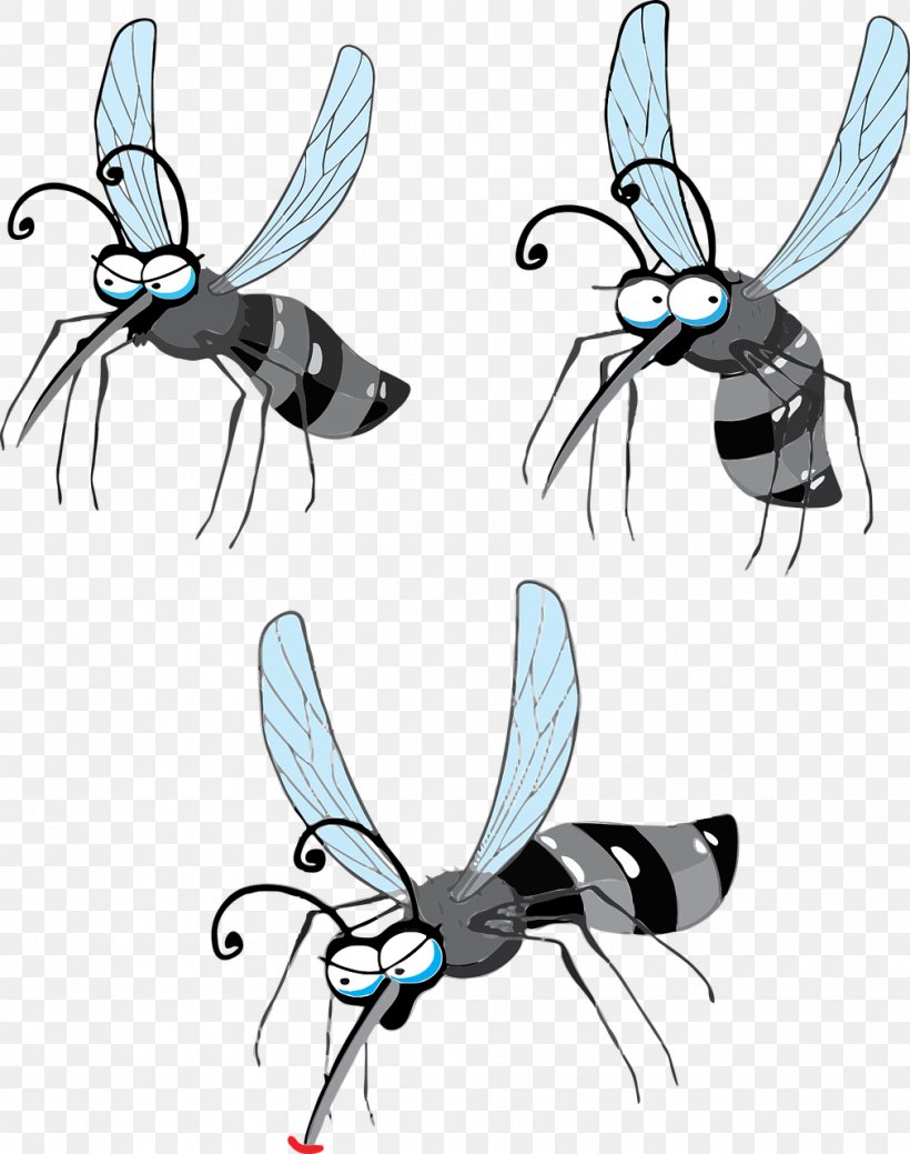 Gnat Zika Virus Crane Fly Yellow Fever Mosquito Clip Art, PNG, 1010x1280px, Gnat, Aedes, Animal Bite, Arthropod, Artwork Download Free