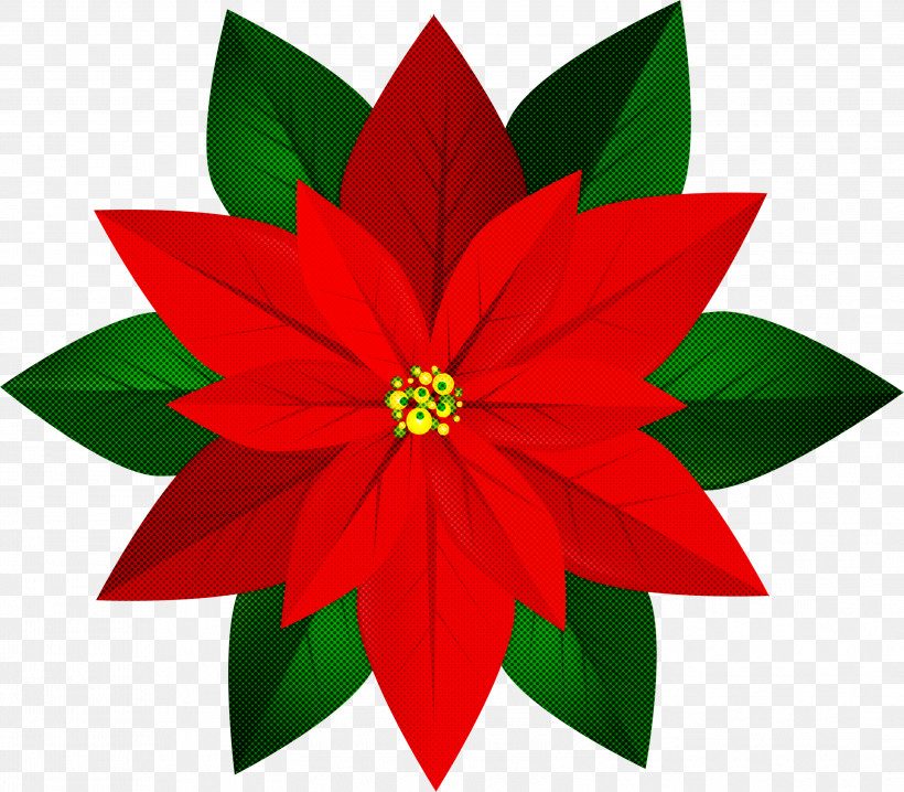 Poinsettia Flower Red Plant Leaf, PNG, 2999x2626px, Poinsettia, Flower, Leaf, Petal, Plant Download Free