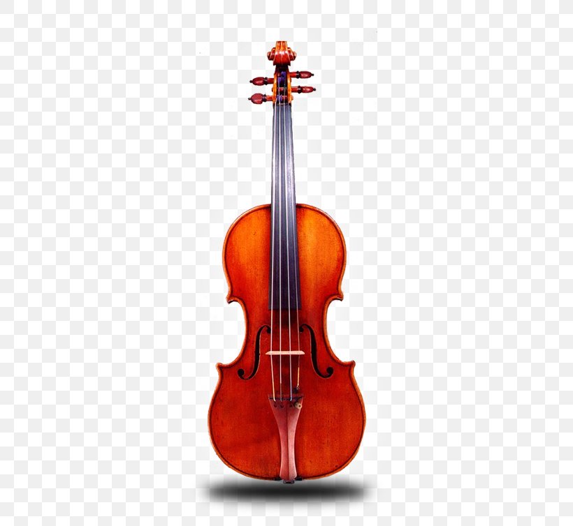Rare Violins Of New York Stradivarius Musical Instruments String Instruments, PNG, 350x754px, Violin, Amati, Antonio Stradivari, Bass Violin, Bowed String Instrument Download Free