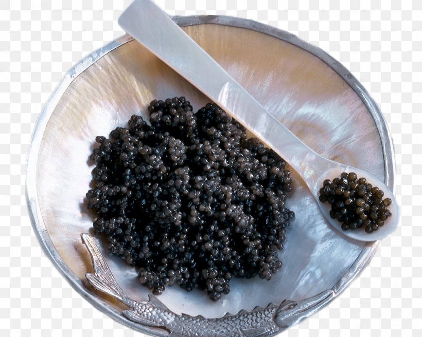 Sevruga Caviar Starry Sturgeon Photography, PNG, 1020x816px, Caviar, Beluga Caviar, Getty Images, Photography, Roe Download Free