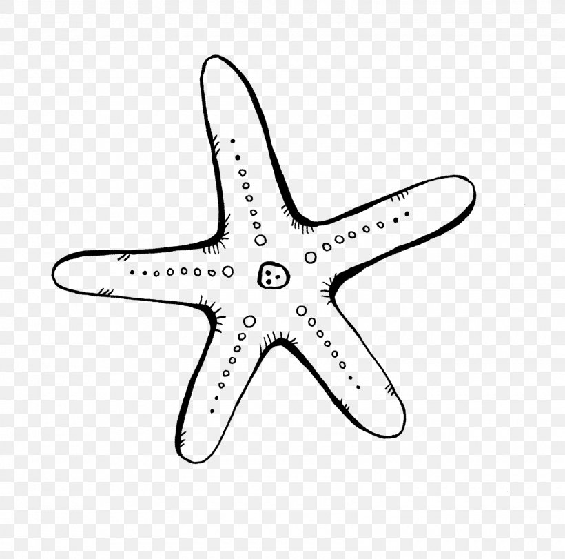 Starfish Digital Image Clip Art, PNG, 1600x1583px, Starfish, Black And White, Blog, Body Jewelry, Coloring Book Download Free