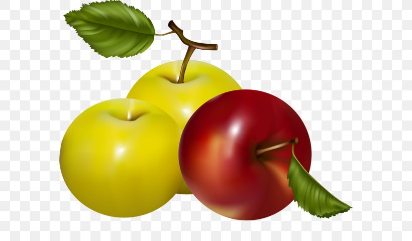 Apple Royalty-free, PNG, 584x480px, Apple, Accessory Fruit, Auglis, Cherry, Diet Food Download Free