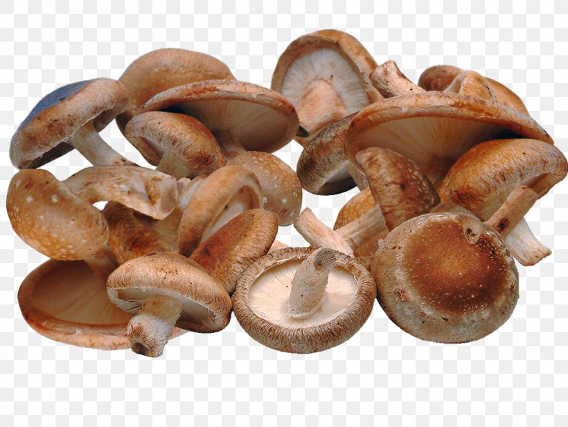 Shiitake Risotto Vegetarian Cuisine Mushroom Fungus, PNG, 1000x753px, Shiitake, Broth, Eating, Edible Mushroom, Flavor Download Free