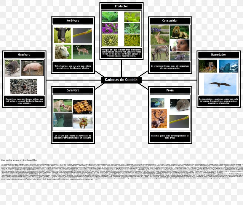 Nutrient Food Chain Omnivore Herbivore Consumer, PNG, 1904x1613px, Nutrient, Autotroph, Chain, Consumer, Decomposer Download Free