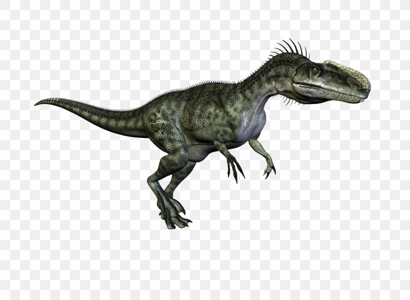 Tyrannosaurus Velociraptor Dinosaur PhotoScape Clip Art, PNG, 800x600px, Tyrannosaurus, Animal, Animal Figure, Dinosaur, Extinction Download Free