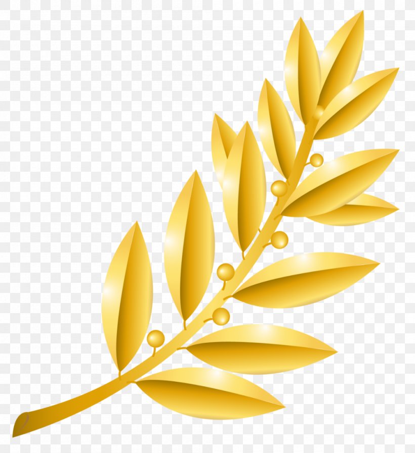 Clip Art, PNG, 1000x1094px, Royaltyfree, Commodity, Flower, Petal, Yellow Download Free