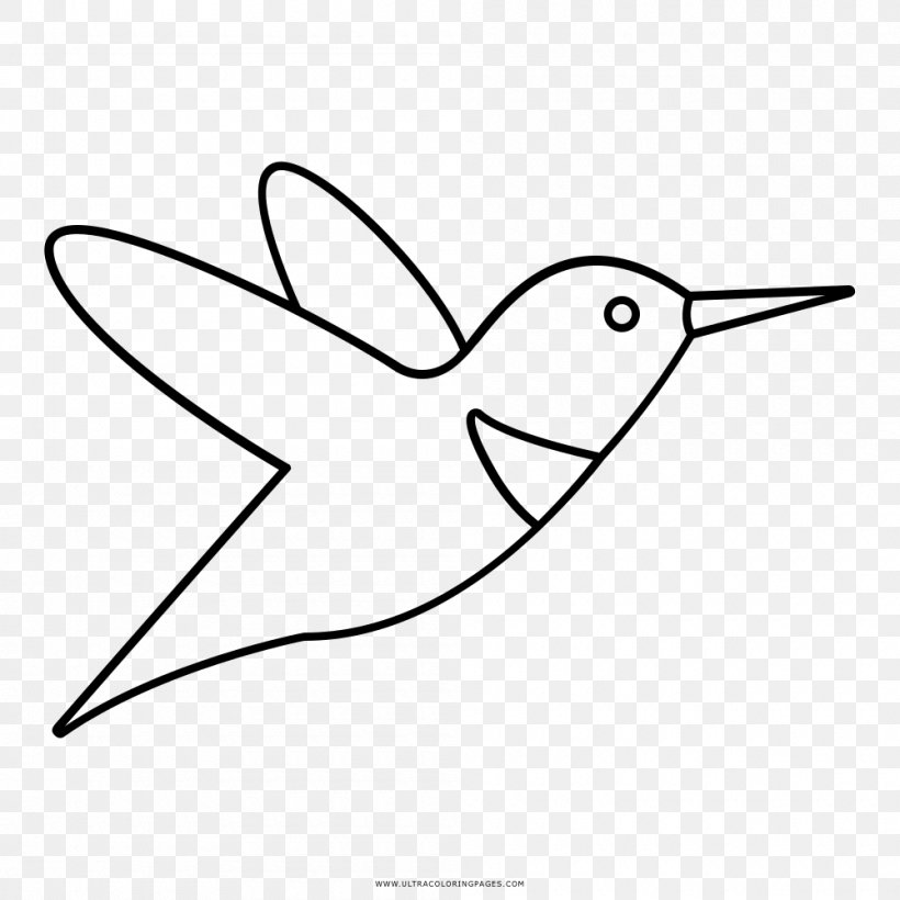 Hummingbird Drawing Black And White Coloring Book, PNG, 1000x1000px, Hummingbird, Area, Art, Artwork, Ausmalbild Download Free