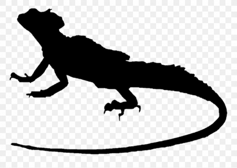 Lizard Plumed Basilisk Common Basilisk Green Iguana, PNG, 1440x1022px, Lizard, Amphibian, Animal Figure, Basilisk, Blackandwhite Download Free