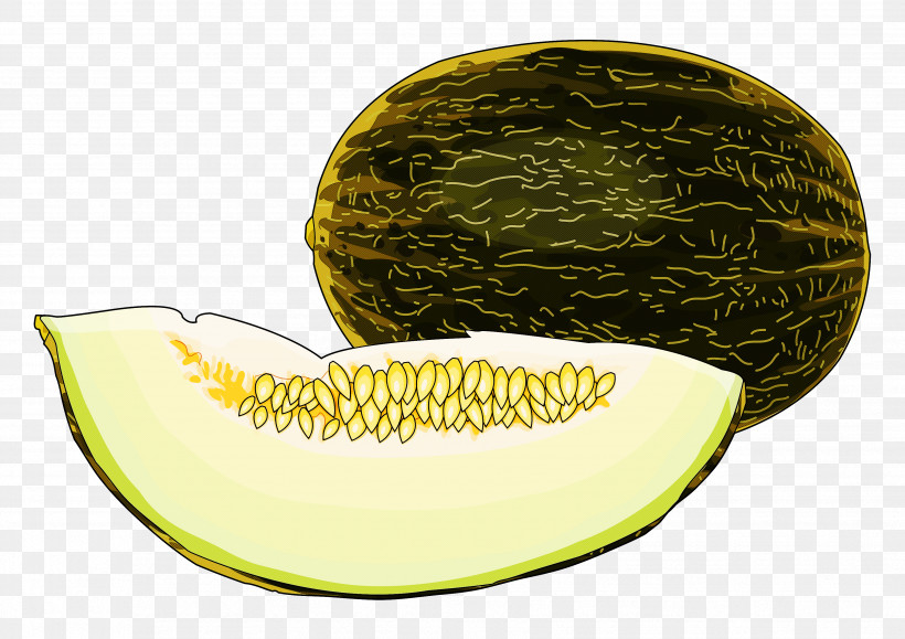 Melon Galia Muskmelon Cantaloupe Fruit, PNG, 3508x2480px, Melon, Cantaloupe, Cucumber Gourd And Melon Family, Cucumis, Fruit Download Free