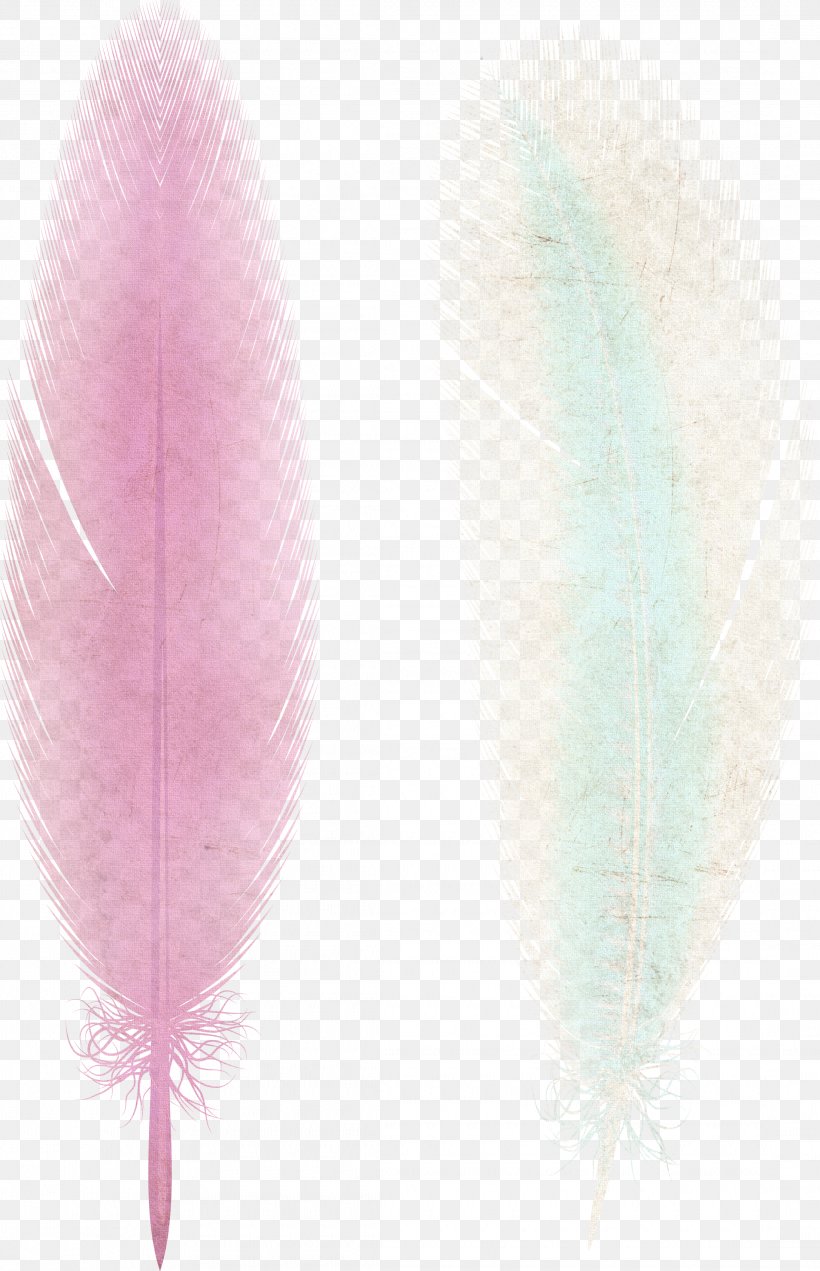 Pink Ribbon Feather, PNG, 2190x3396px, Pink, Color, Feather, Material, Pink Ribbon Download Free