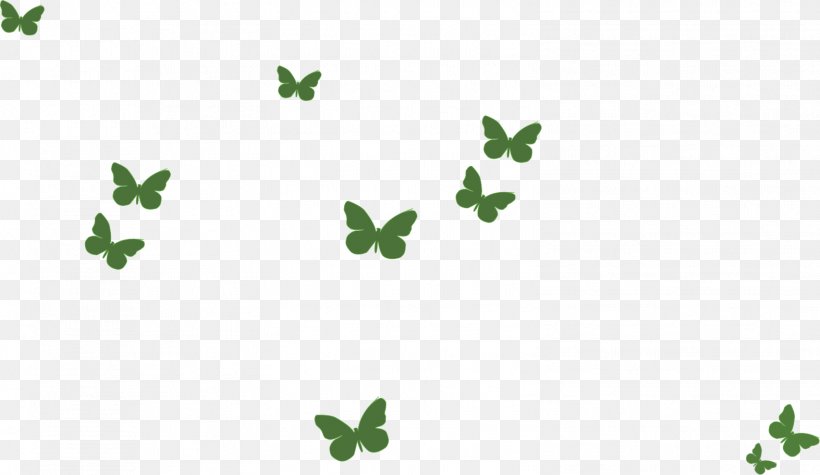 Butterfly Green, PNG, 1573x913px, Butterfly, Blue, Branch, Butterflies And Moths, Conservation Movement Download Free