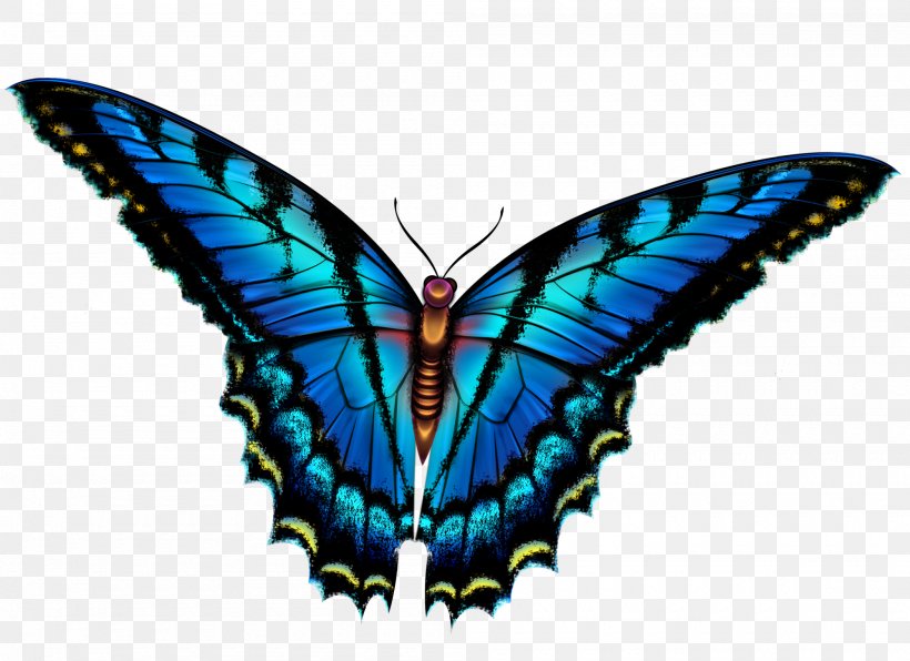 Butterfly Insect Clip Art, PNG, 2000x1456px, Butterfly, Arthropod, Blue, Brush Footed Butterfly, Butterflies And Moths Download Free