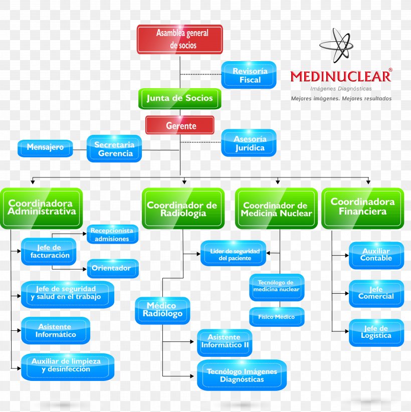 Organizational Chart Nuclear Medicine Empresa Radiology Service, PNG, 3970x3981px, Organizational Chart, Area, Brand, Business, Cleaning Download Free