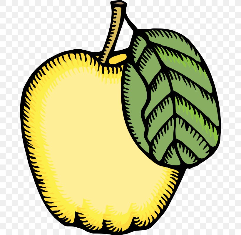 Quince Clip Art, PNG, 800x800px, Quince, Apple, Food, Fruit, Leaf Download Free