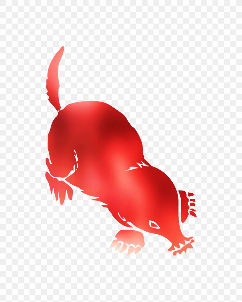 Rat Canidae Dog Chicken Mammal, PNG, 1600x2000px, Rat, Beak, Canidae, Carnivores, Chicken Download Free
