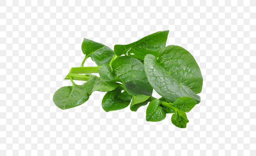 Malabar Spinach Sri Lanka Sesbania Grandiflora Food, PNG, 500x500px, Spinach, Chenopodium Giganteum, Eggplant, Food, Fruit Download Free