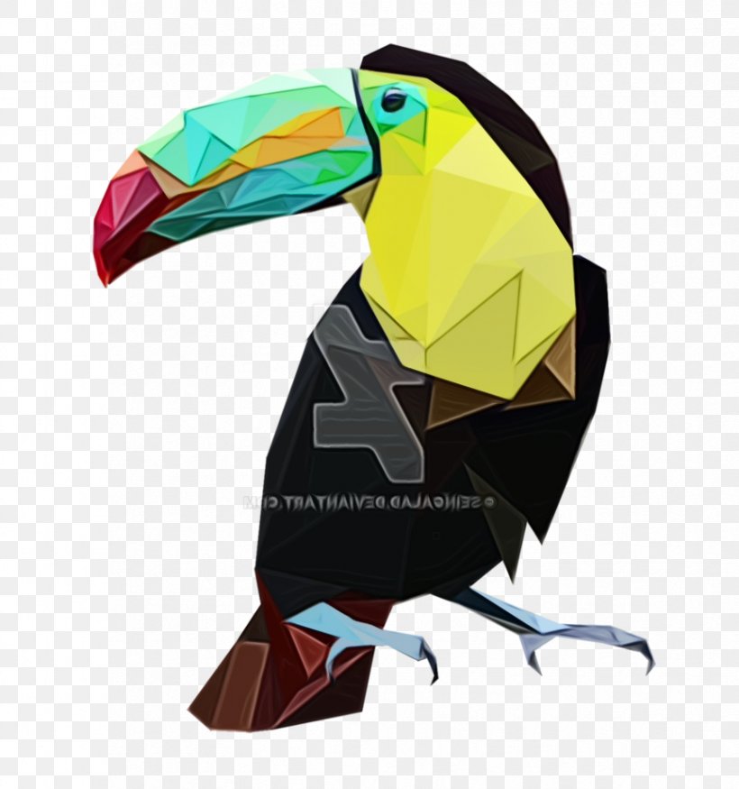 Toucan Beak Product Design, PNG, 865x924px, Toucan, Art, Beak, Bird, Coraciiformes Download Free