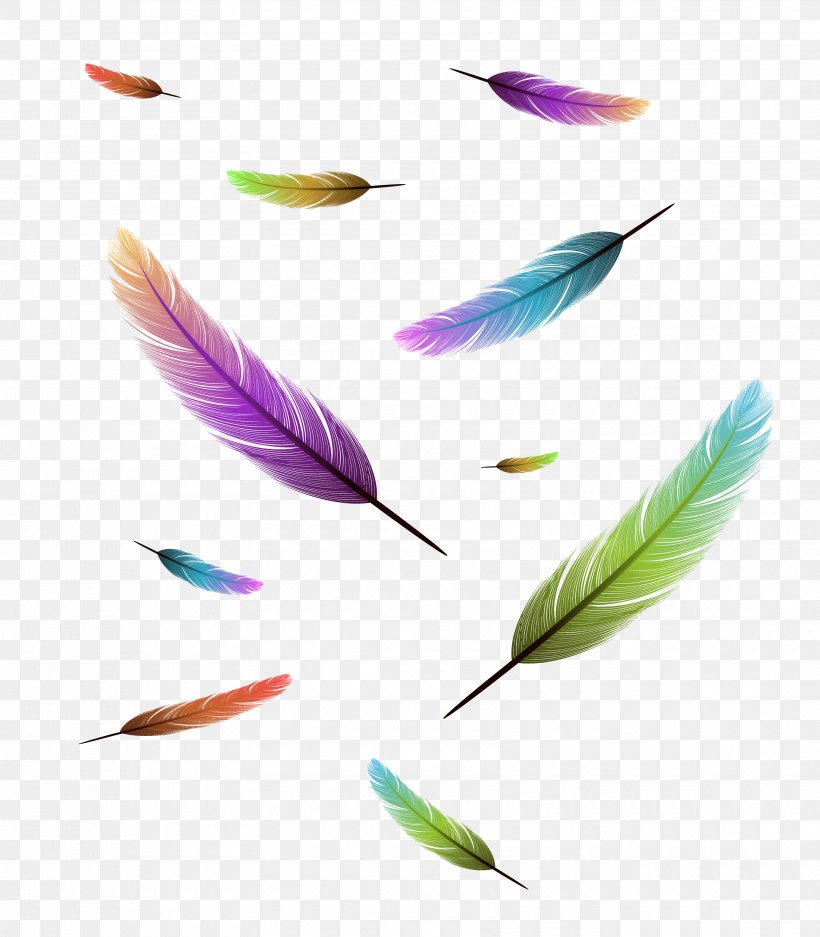 Bird Feather Drawing Stock Photography, PNG, 3360x3840px, Bird, Drawing, Feather, Fotosearch, Photography Download Free