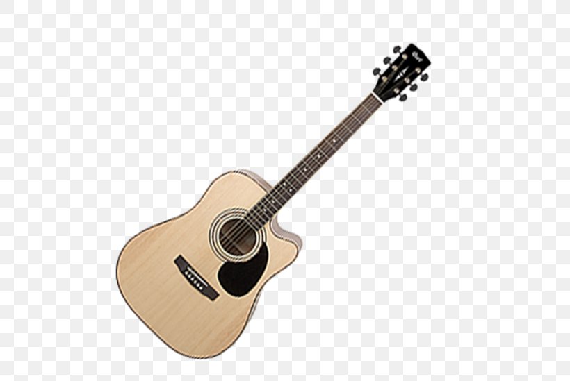 Cort Guitars Acoustic Guitar Dreadnought Electric Guitar Bass Guitar, PNG, 550x549px, Watercolor, Cartoon, Flower, Frame, Heart Download Free