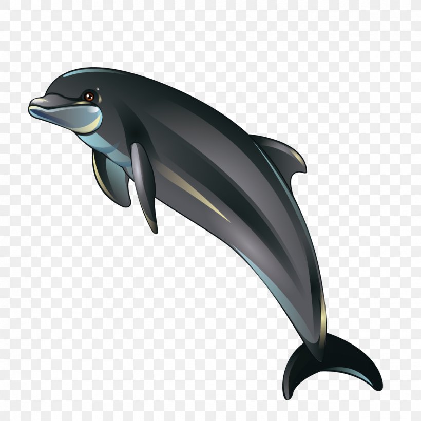 Dolphin Cartoon Illustration, PNG, 1276x1276px, Dolphin, Automotive Design, Beak, Cartoon, Designer Download Free