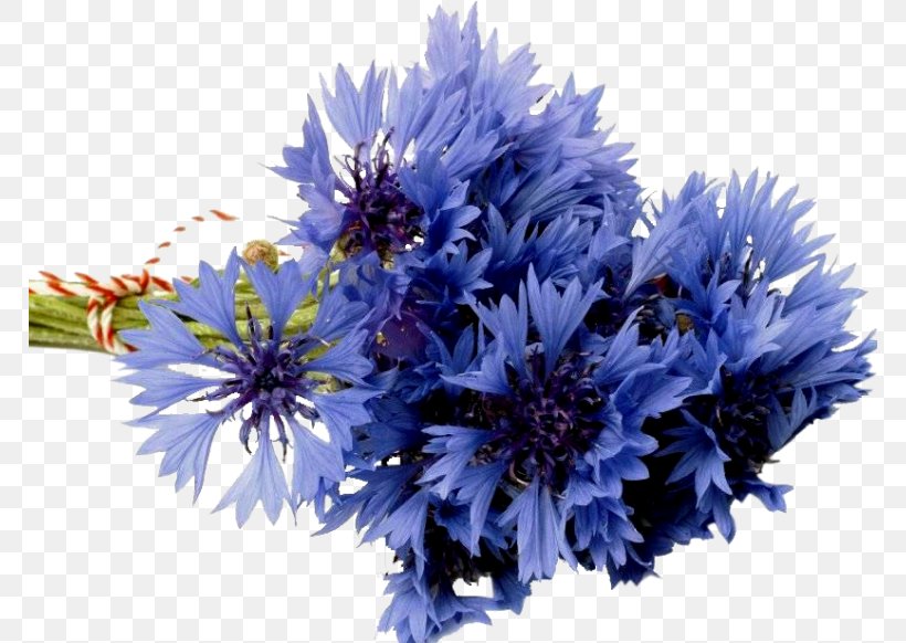 Flower Bouquet Desktop Wallpaper Cornflower Blue, PNG, 768x582px, Flower Bouquet, Annual Plant, Artificial Flower, Aster, Birthday Download Free