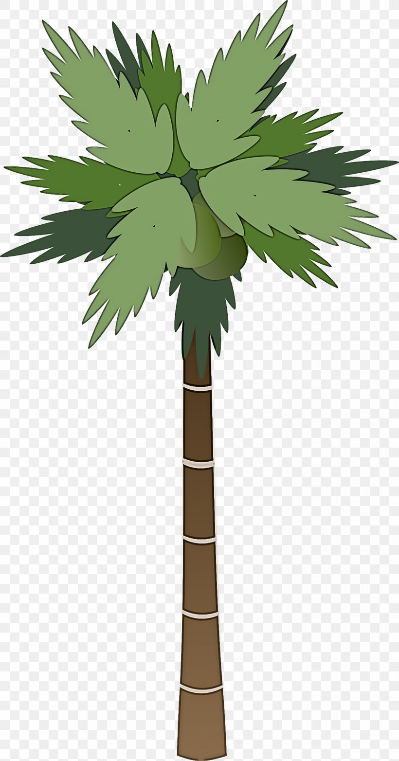 Palm Trees, PNG, 1258x2400px, Palm Trees, Cartoon, Drawing, Logo, Royaltyfree Download Free