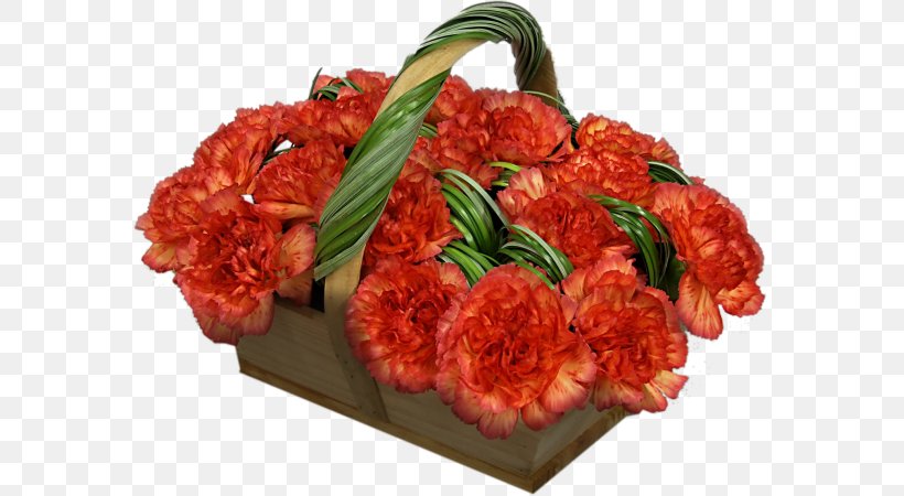 Red Meat Cut Flowers Web Hosting Service, PNG, 577x450px, Red Meat, Accommodation, Basket, Carnation, Cut Flowers Download Free
