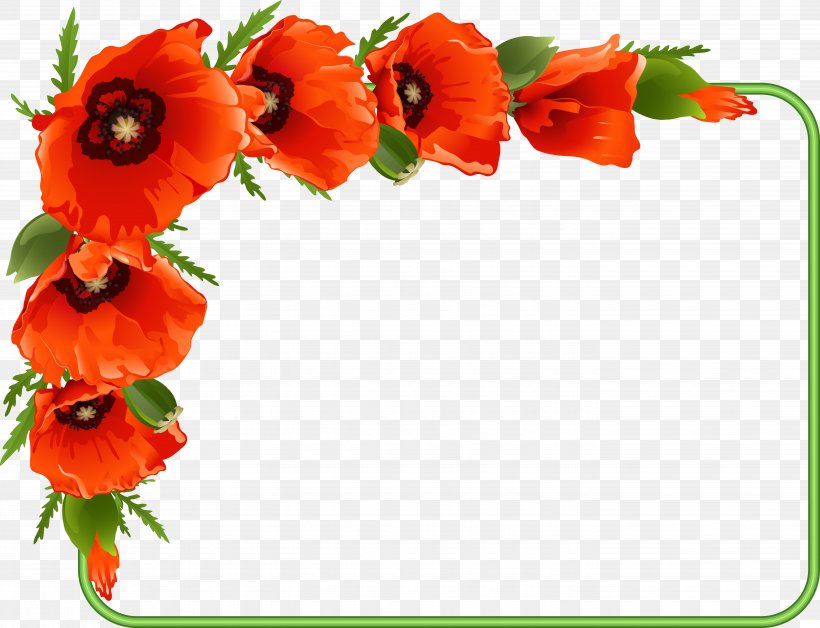 Royalty-free Poppy Drawing, PNG, 5565x4265px, Royaltyfree, Annual Plant, Art, Coquelicot, Cut Flowers Download Free
