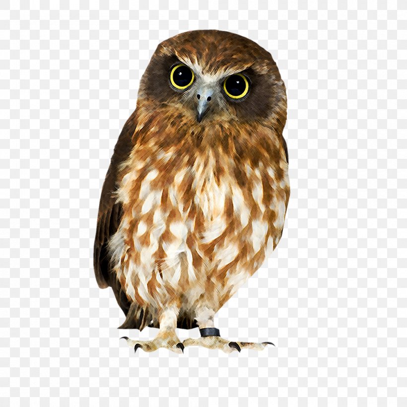 Tawny Owl Bird Brown Hawk-owl, PNG, 1000x1000px, Owl, Animal, Barn Owl, Beak, Bird Download Free
