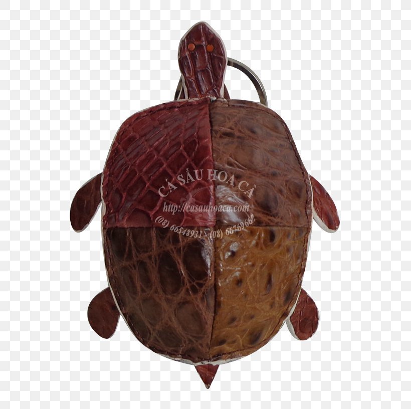 Tortoise Pond Turtles Maroon, PNG, 600x816px, Tortoise, Emydidae, Maroon, Pond Turtles, Reptile Download Free