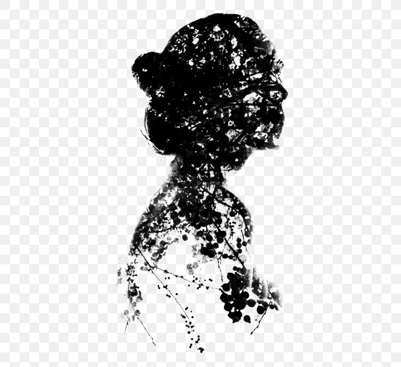 Woman Hair, PNG, 500x750px, Silhouette, Black And White, Black Hair, Blackandwhite, Drawing Download Free