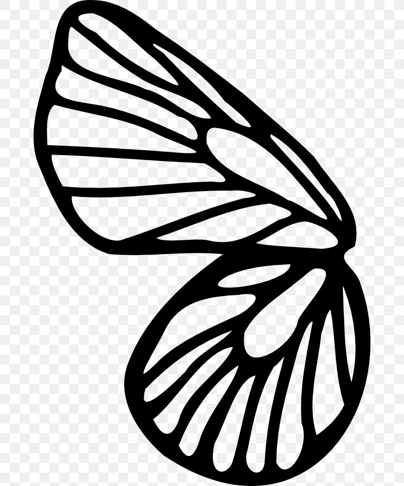 Butterfly Drawing Coloring Book Line Art Clip Art, PNG, 684x987px, Butterfly, Aile, Artwork, Black And White, Brush Download Free