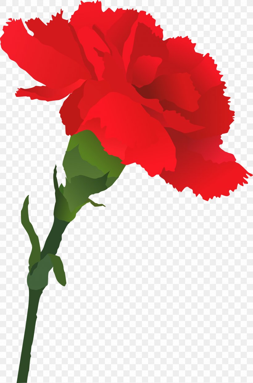 Carnation Royalty-free Clip Art, PNG, 2536x3840px, Carnation, Annual Plant, Art, Dianthus, Document Download Free