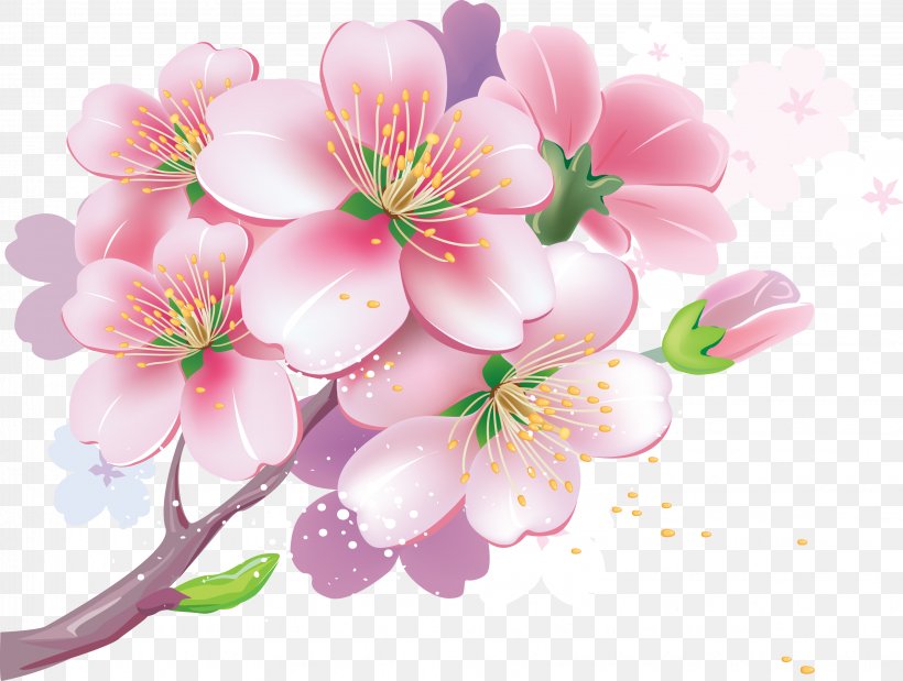 Cherry Blossom Photography Clip Art, PNG, 3261x2464px, Cherry Blossom, Blossom, Branch, Floral Design, Flower Download Free