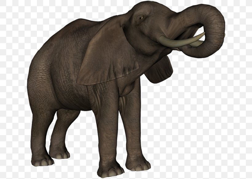 Indian Elephant African Elephant Elephantidae Diary Blog, PNG, 650x583px, Indian Elephant, Adobe Flash, African Elephant, Animal, Beauty Download Free