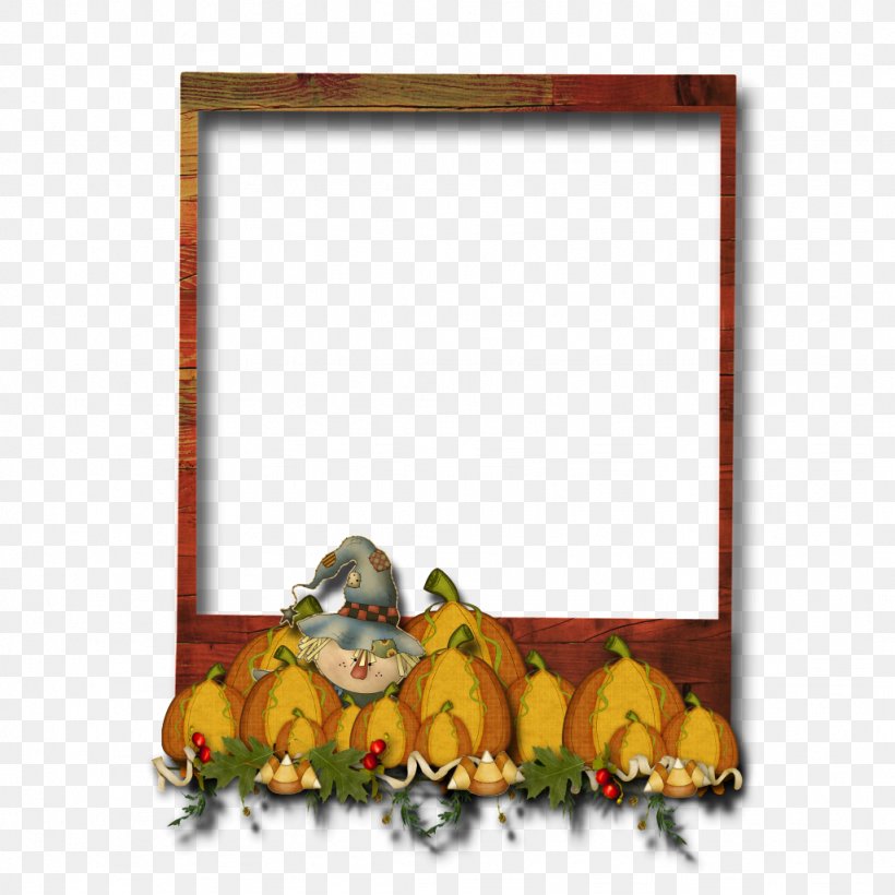 Picture Frames Rectangle Flower Text Messaging Image, PNG, 1024x1024px, Picture Frames, Flower, Orange, Picture Frame, Rectangle Download Free