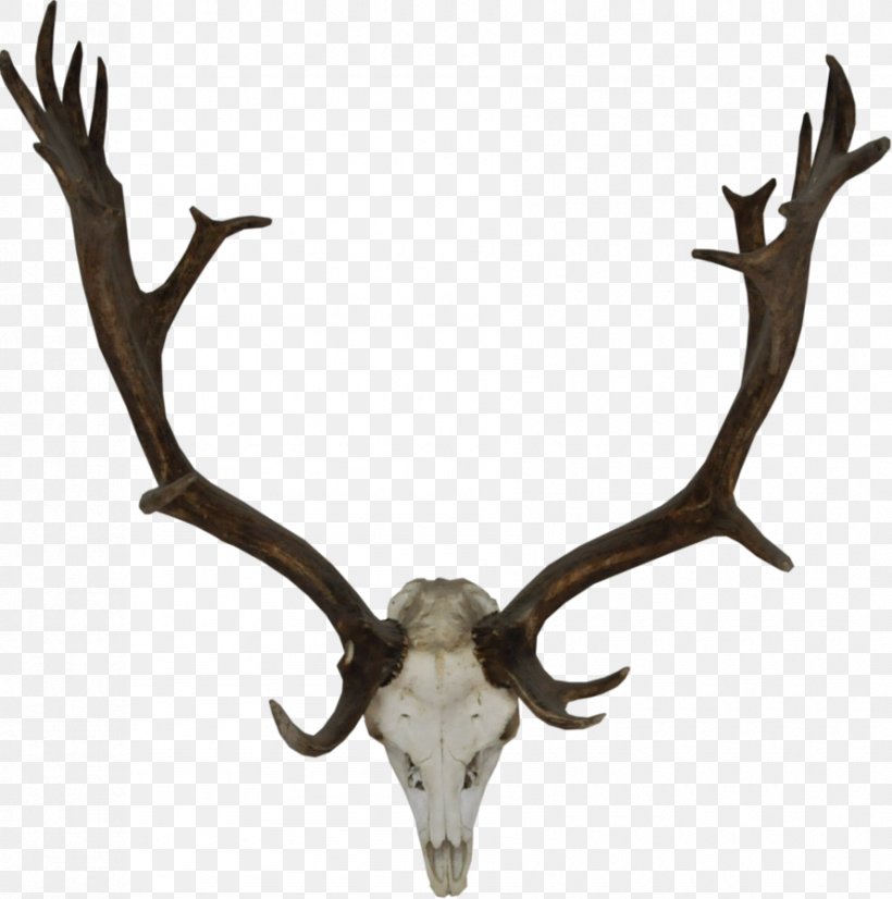 Reindeer Rudolph Antler Mule Deer, PNG, 890x897px, Reindeer, Animal, Animal Product, Antler, Christmas Download Free
