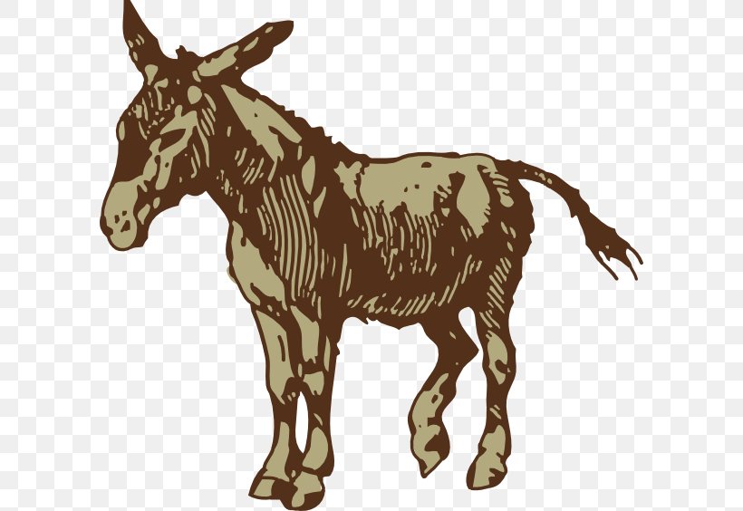 T-shirt Sticker Donkey Jackass Illustration, PNG, 600x564px, Tshirt, Bam Margera, Colt, Donkey, Fauna Download Free