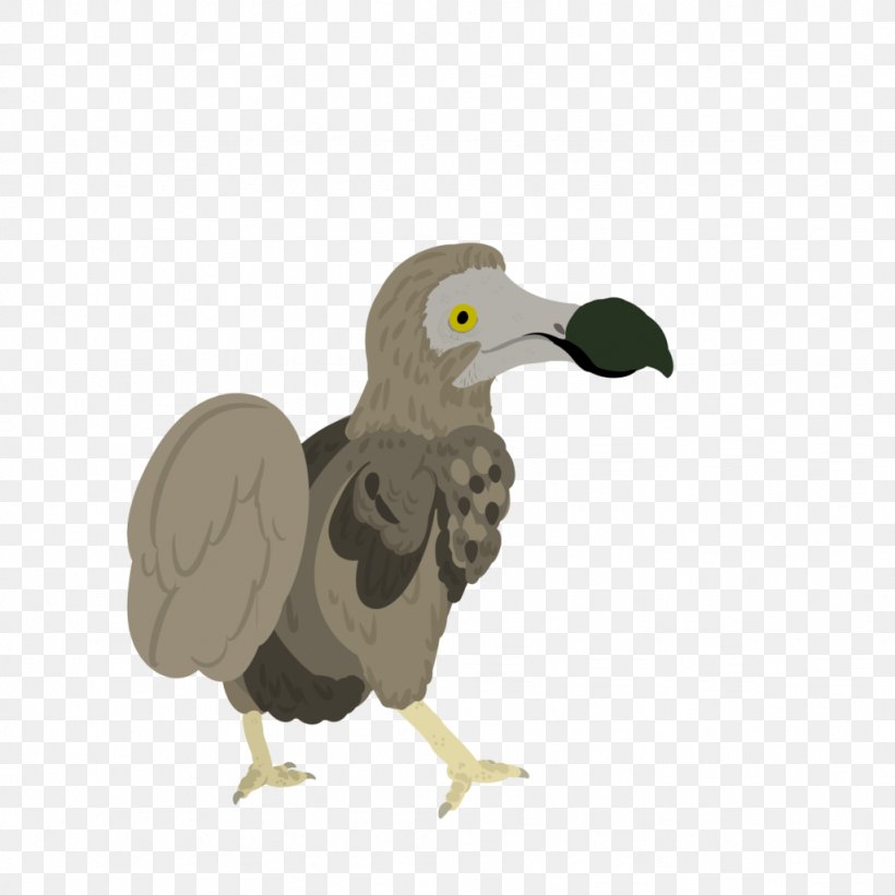 Vulture Flightless Bird Seabird Beak, PNG, 1024x1024px, Vulture, Beak, Bird, Bird Of Prey, Fauna Download Free