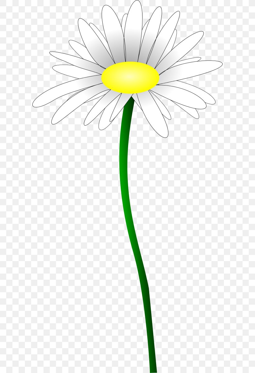 Daisy Family Oxeye Daisy Common Daisy Flower Yellow, PNG, 612x1200px, Daisy Family, Black, Black And White, Common Daisy, Daisy Download Free