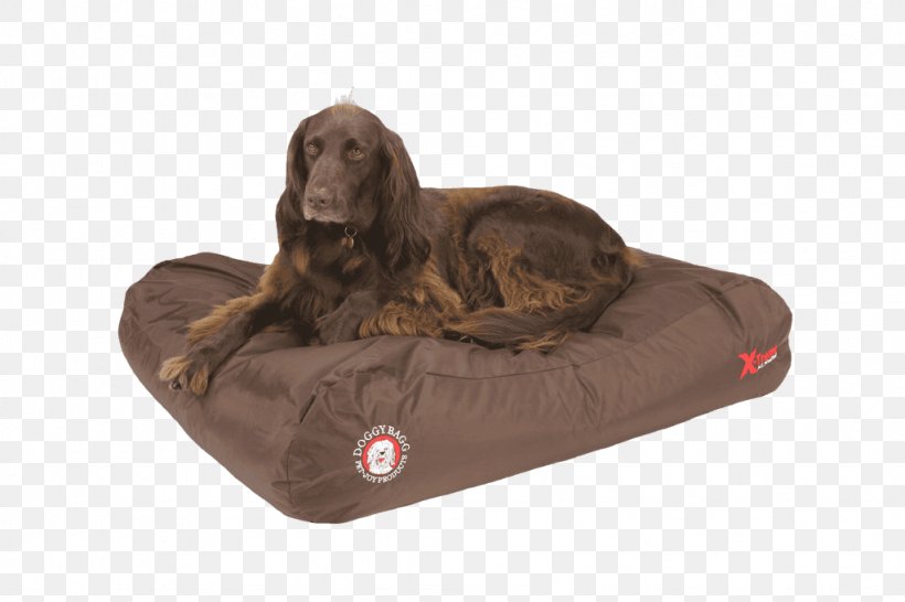 Dog Breed Amazon.com Teflon 48 Bed, PNG, 1024x683px, Dog, Amazoncom, Animal, Bed, Beige Download Free