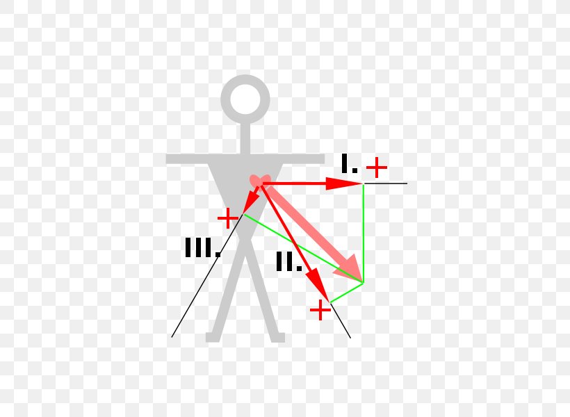 Electrocardiography Einthoven's Triangle Cardiology Medicine, PNG, 800x600px, Electrocardiography, Area, Brand, Cardiology, Diagram Download Free