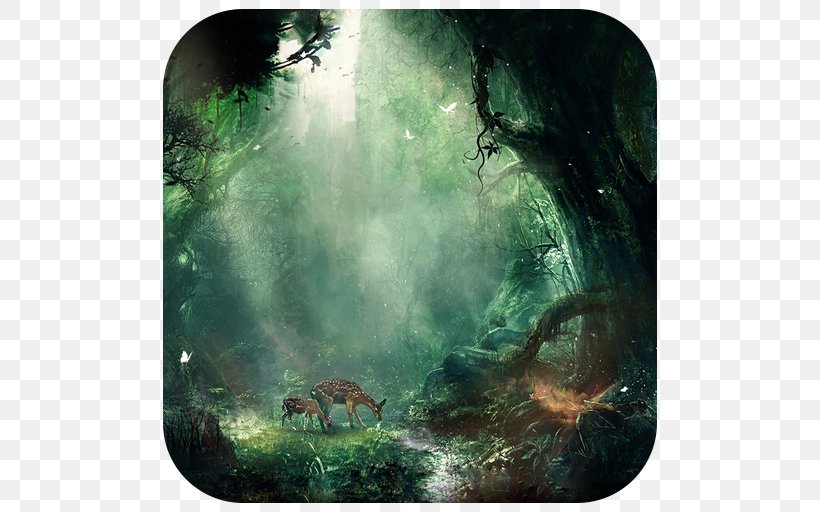 Fantasy Forest Desktop Wallpaper Wallpaper, PNG, 512x512px, 2k Resolution, 4k Resolution, Fantasy, Biome, Dark Fantasy Download Free