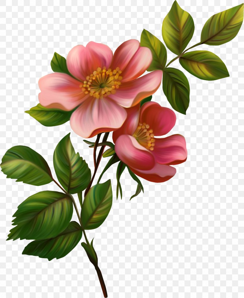 Flower Clip Art, PNG, 1137x1386px, Flower, Blossom, Branch, Cut Flowers, Flower Bouquet Download Free