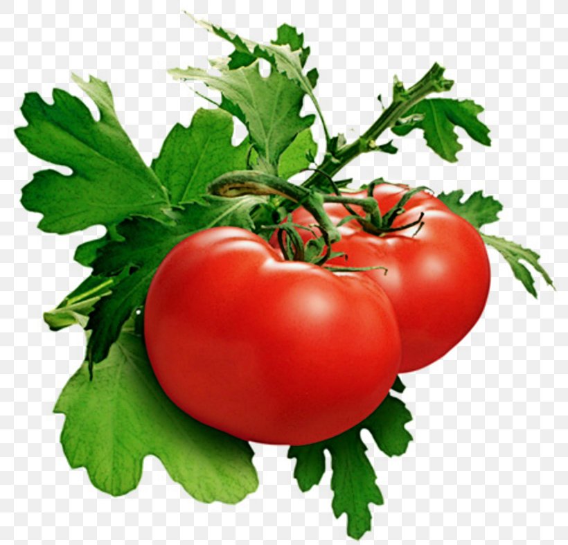 Samburna Indian Restaurant Tomato Juice Cherry Tomato Growing Tomatoes Vegetable, PNG, 800x787px, Tomato Juice, Bell Pepper, Bush Tomato, Calcium Deficiency, Cherry Tomato Download Free