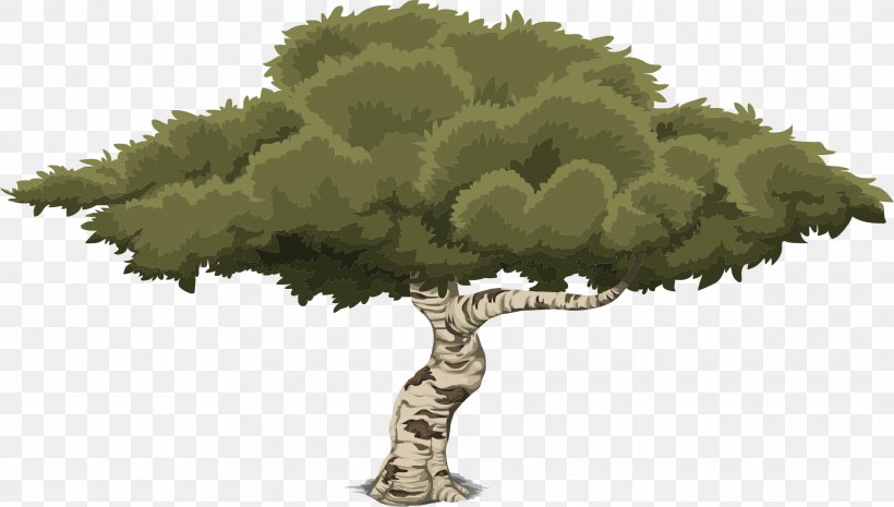 Tree Drawing, PNG, 1920x1090px, Tree, Branch, Drawing, Flower, Grass Download Free