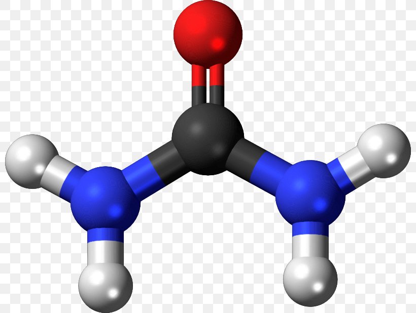 Urea Molecule Chemistry Molecular Model Ammonia, PNG, 800x618px, Urea, Amide, Ammonia, Atom, Blood Urea Nitrogen Download Free