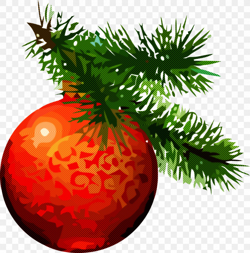 Christmas Pine, PNG, 2363x2394px, Christmas Pine, Branch, Christmas, Christmas Decoration, Christmas Eve Download Free