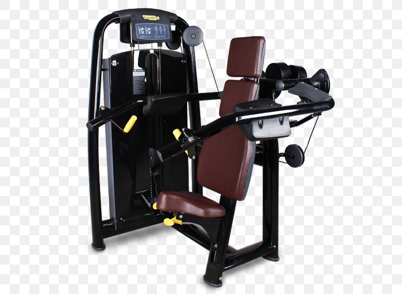 Exercise Equipment Fitness Centre Exercise Machine Deltoid Muscle, PNG, 600x600px, Exercise Equipment, Deltoid Muscle, Exercise, Exercise Machine, Fitness Centre Download Free