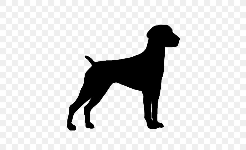 German Shorthaired Pointer German Wirehaired Pointer Spinone Italiano Wirehaired Pointing Griffon, PNG, 500x500px, German Shorthaired Pointer, Bird Dog, Black, Black And White, Breed Download Free